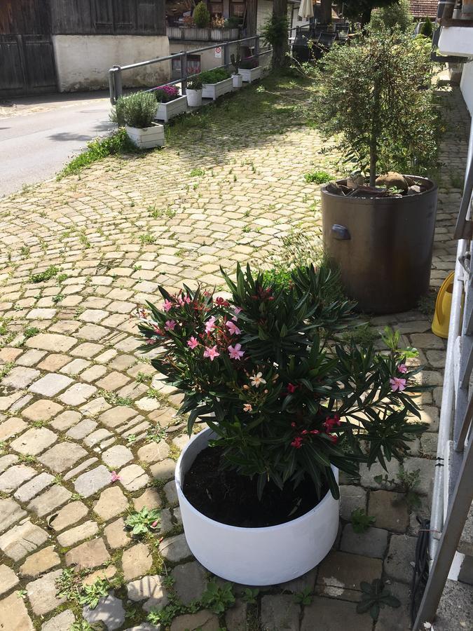 B&B Baeren Rüeggisberg Exteriér fotografie